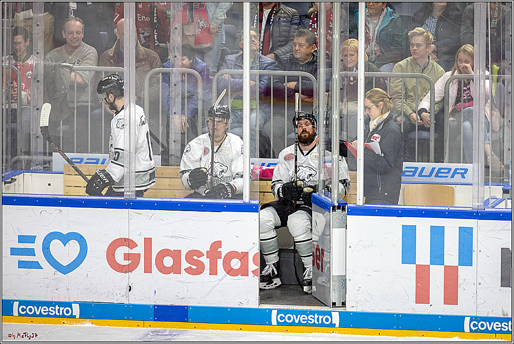 DEL; Koelner Haie - Thomas Sabo Ice Tigers Nuernberg, 19.02.2019